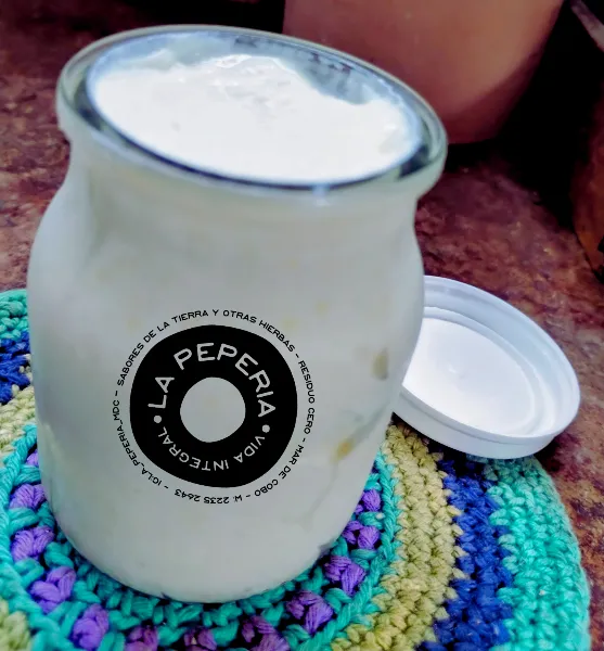 Requesón de Kefir 200g
