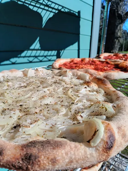 Prepizza blanca cebolla
