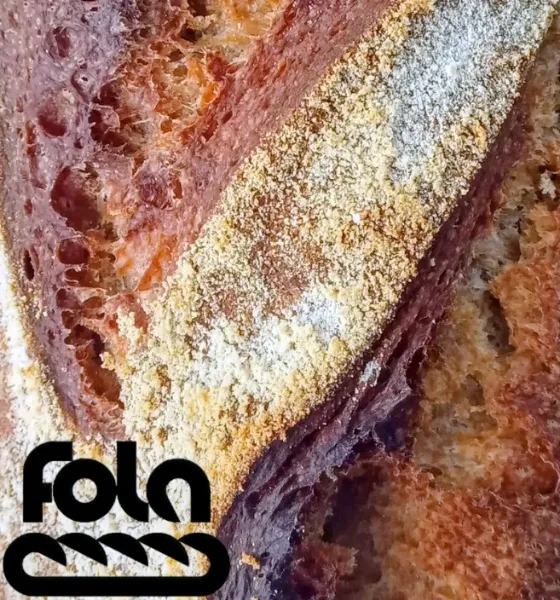 Pan de molde integral