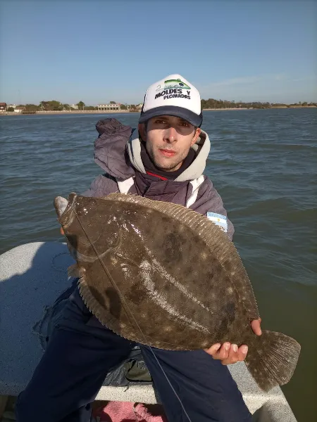Lenguado en filete x kilo