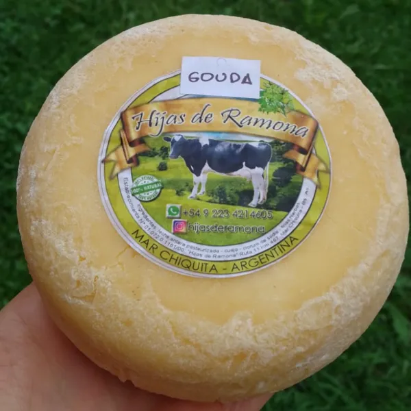Queso Gouda 400g aprox