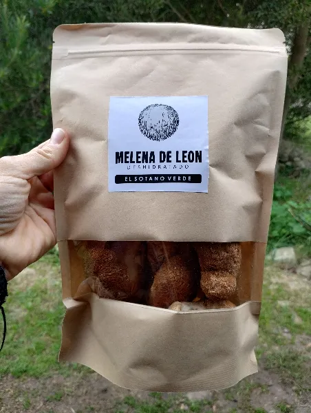 Melena de León