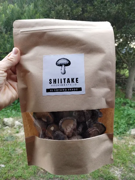 Shiitake