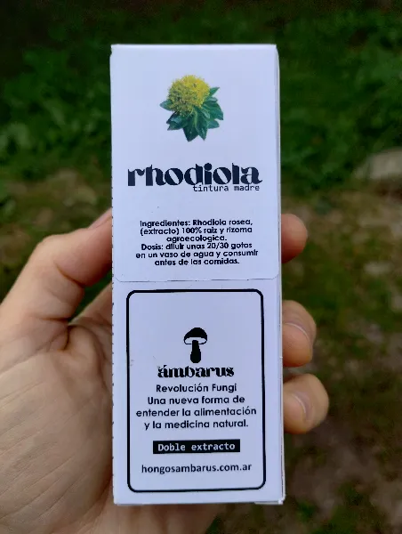 Rhodiola