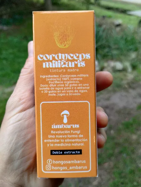Cordyceps millitaris