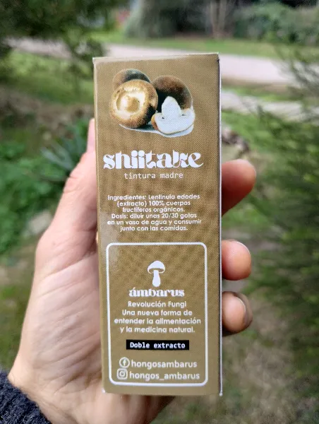 Shiitake