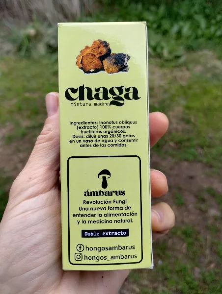 Chaga