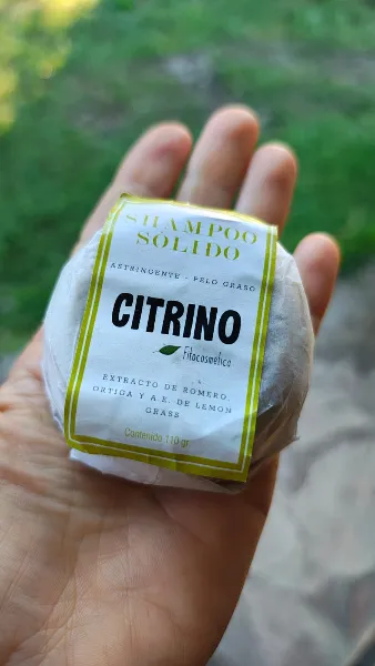 Shampú solido pelo graso