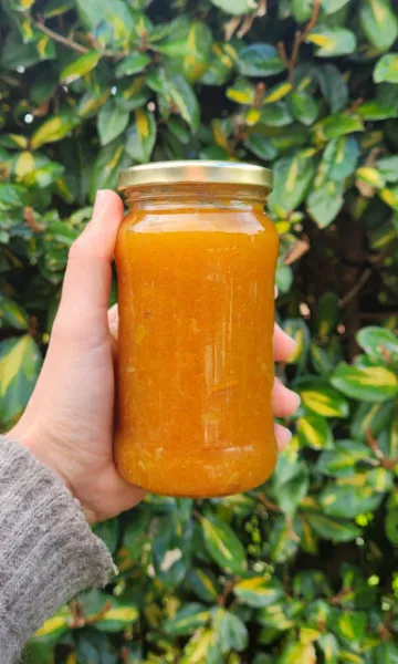 Mermelada artesanal 65% fruta