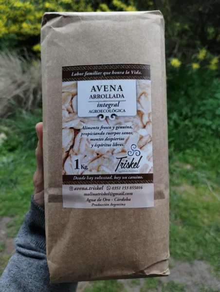 Avena Arrollada
